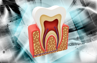 Illustration for article titled Youngsters That Happen to Be Taken to Pediatric Dental Professionals Do Not Develop Nervousness About Dental Work